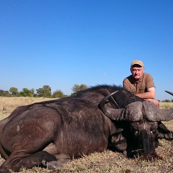 Büffeljagd in Namibia – klassische Großwildjagd