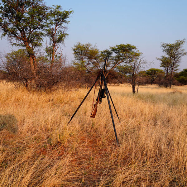 Jagdgewehr auf Dreibein in der afrikanischen Savanne