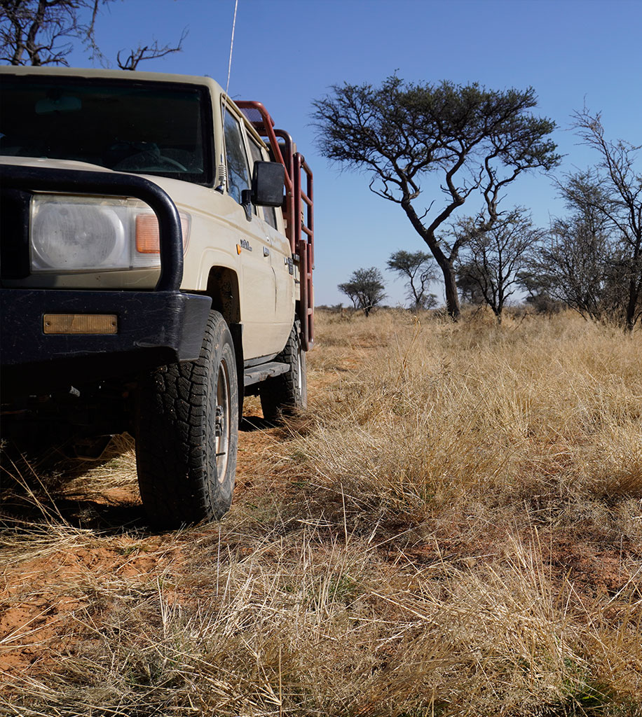 Safari‑Geländewagen in der Buschlandschaft Namibias bei Ombakata – Offroad‑Safari durch wilde Natur