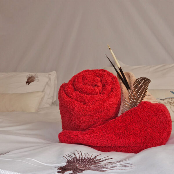 Willkommen bei Ombakata – Komfort und Gastfreundschaft in Namibia