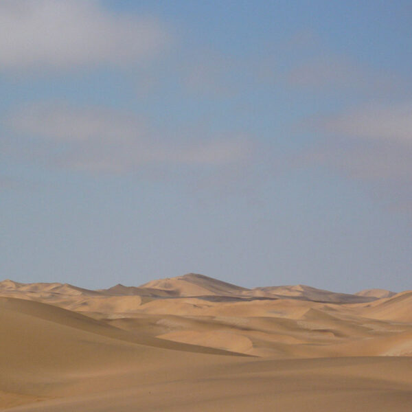 Endlose Sanddünen der Namib-Wüste unter weitem Himmel, eindrucksvolle Wüstenlandschaft der Safari „Best of Namibia“.
