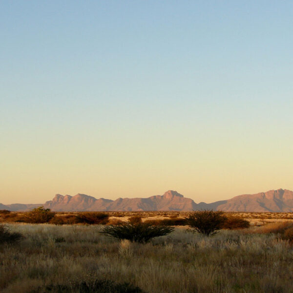 Weite Savannenlandschaft mit markanter Bergkette im warmen Abendlicht, typische Szenerie der Safari-Tour „Best of Namibia“.