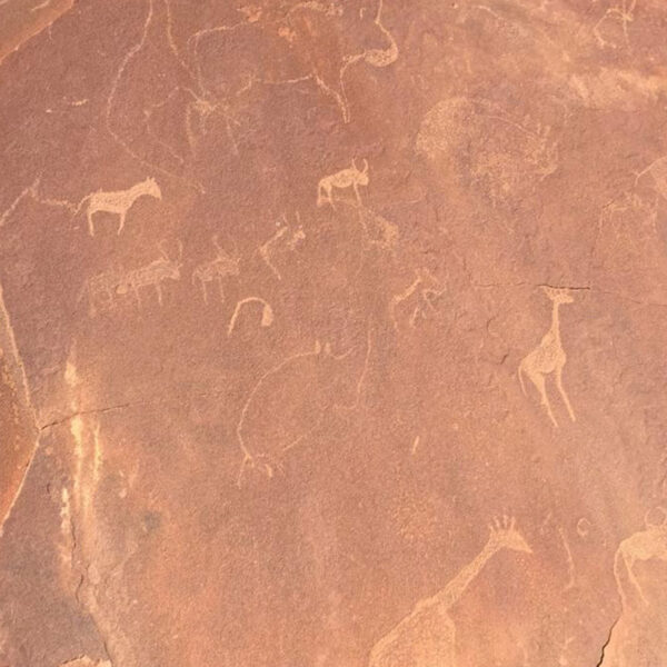 Uralte Felsgravuren mit Tierdarstellungen, kulturelles Erbe Namibias auf der Safari „Namibia Grand Royale“.