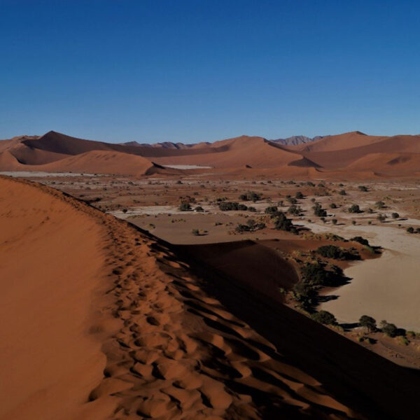 Weitläufige rote Sanddünen der Namib-Wüste, ikonische Landschaft der Safari-Tour „Namibia Grand Royale“.